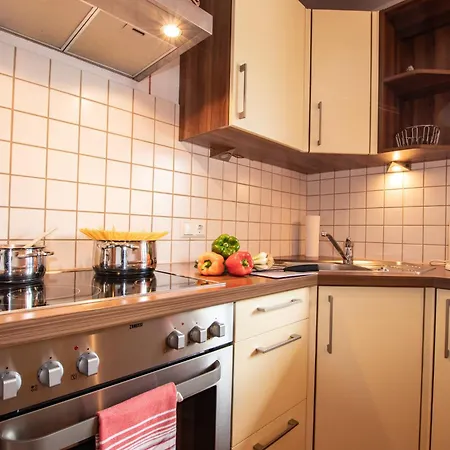 Bis 8 Personen In Panoramalage By Fewo-plan Wild192 Apartment Thierbach